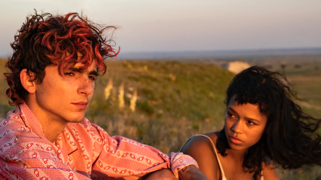 Timothèe Chalamet and Taylor Russell Devour the Screen in Luca ...