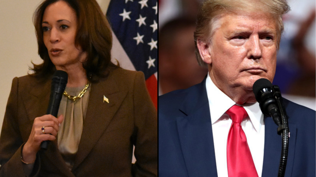 Research Finds Polls Are Split Between Harris and Trump